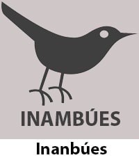 Inanbúes