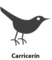 Carricerin